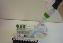 GFR Samples WS.JPG